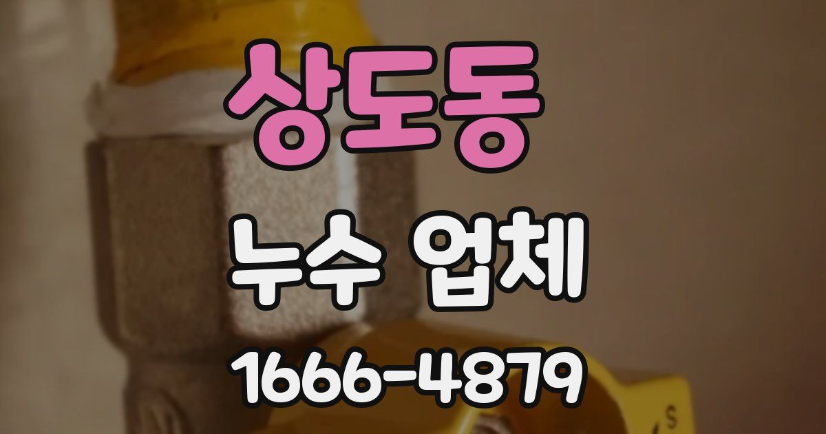 상도동 누수 업체