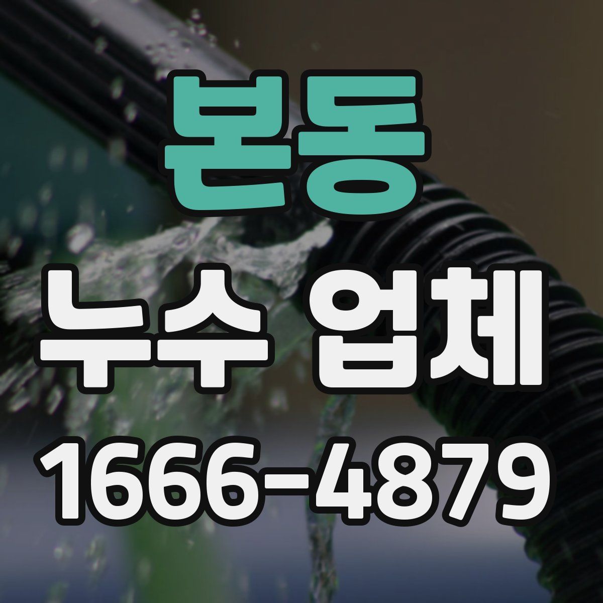 본동 누수 업체
