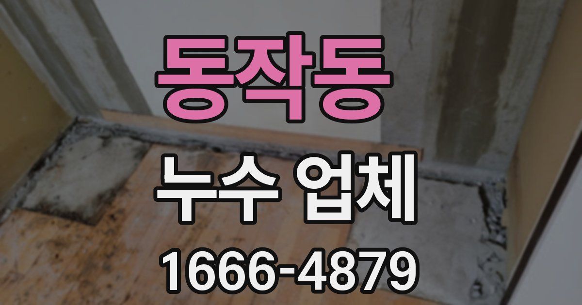 동작동 누수 업체