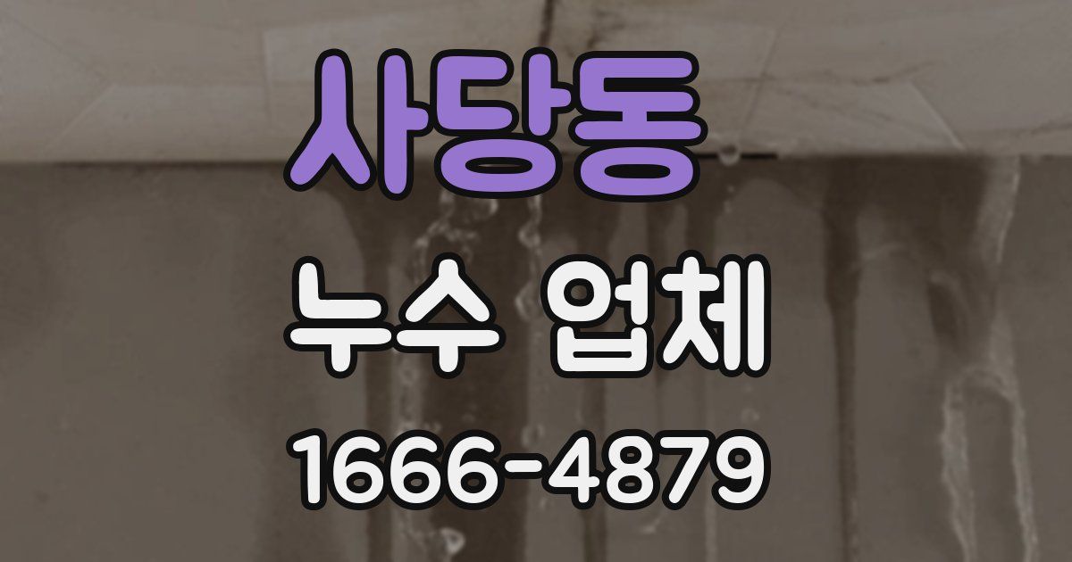 사당동 누수 업체