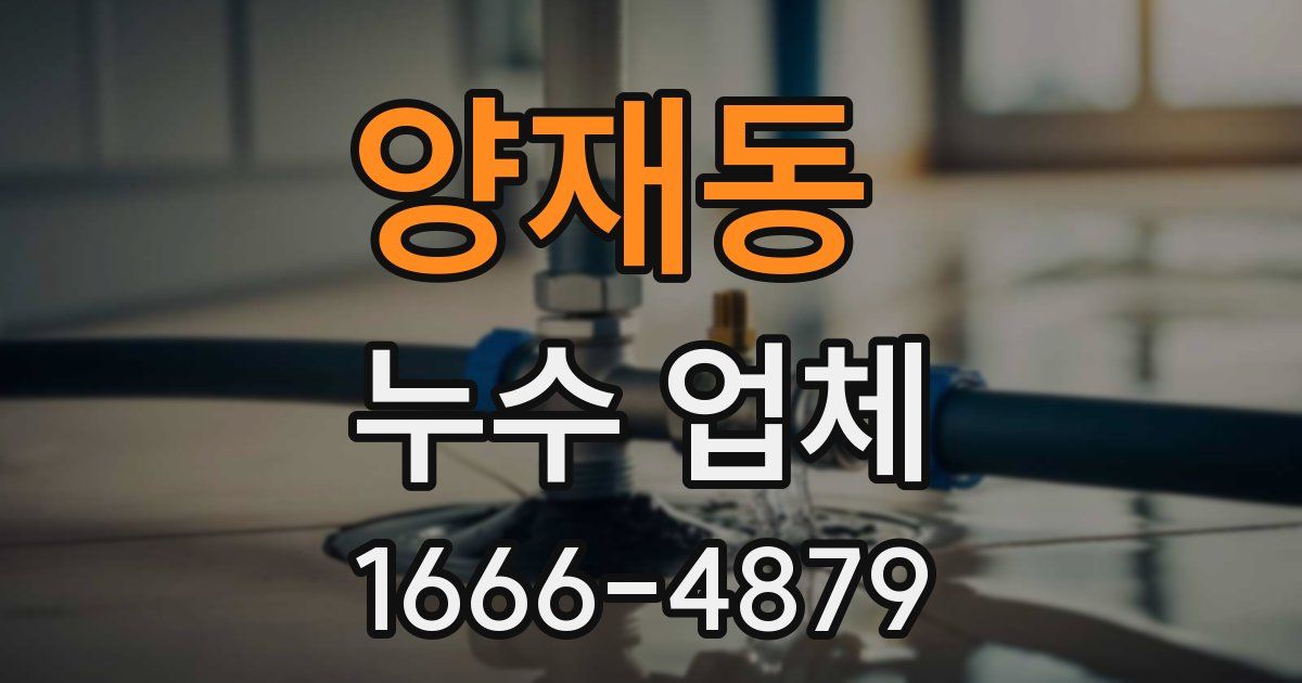 양재동 누수 업체