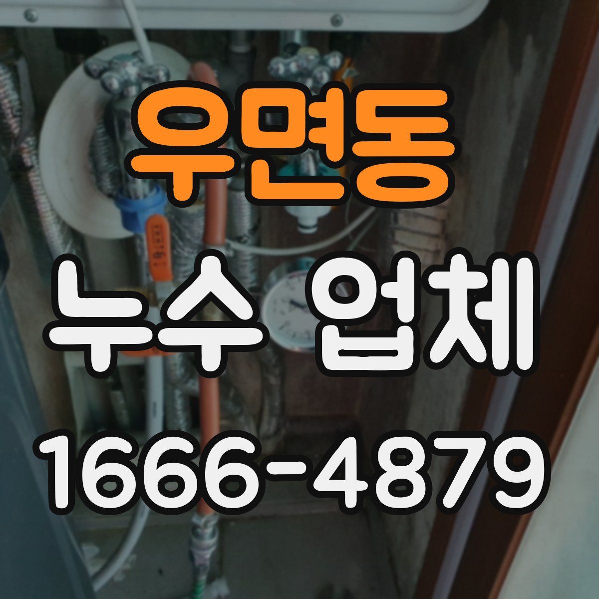 우면동 누수 업체