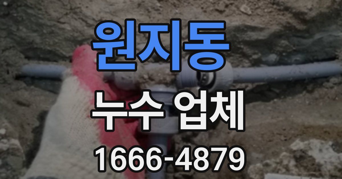 원지동 누수 업체