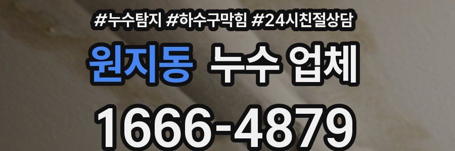 원지동 누수 업체