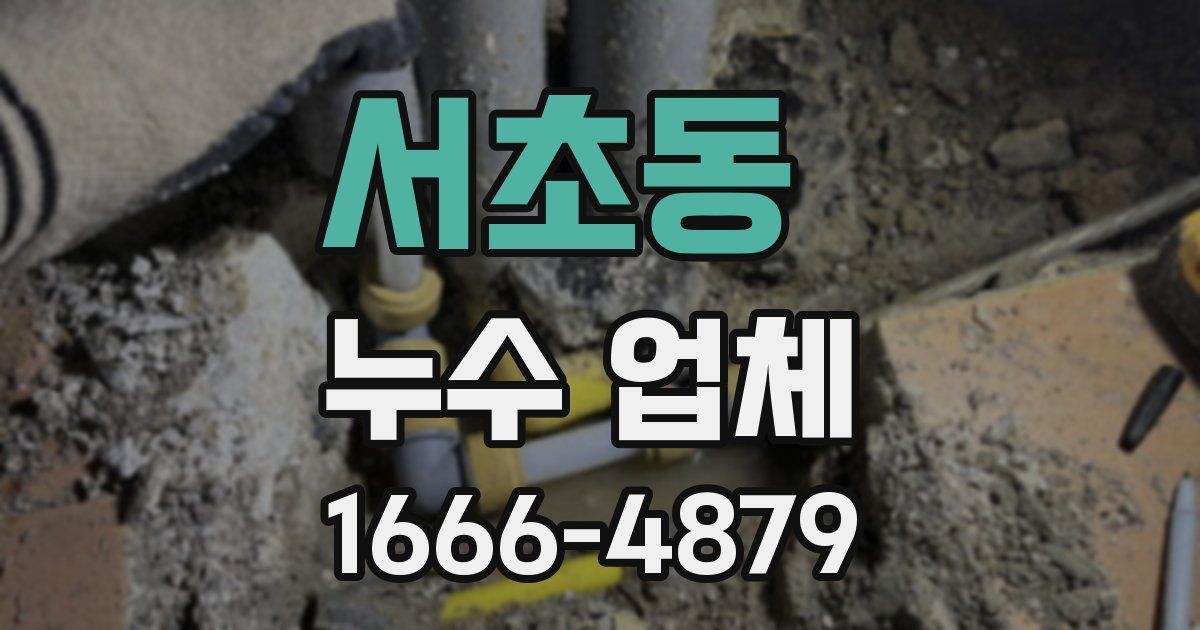서초동 누수 업체