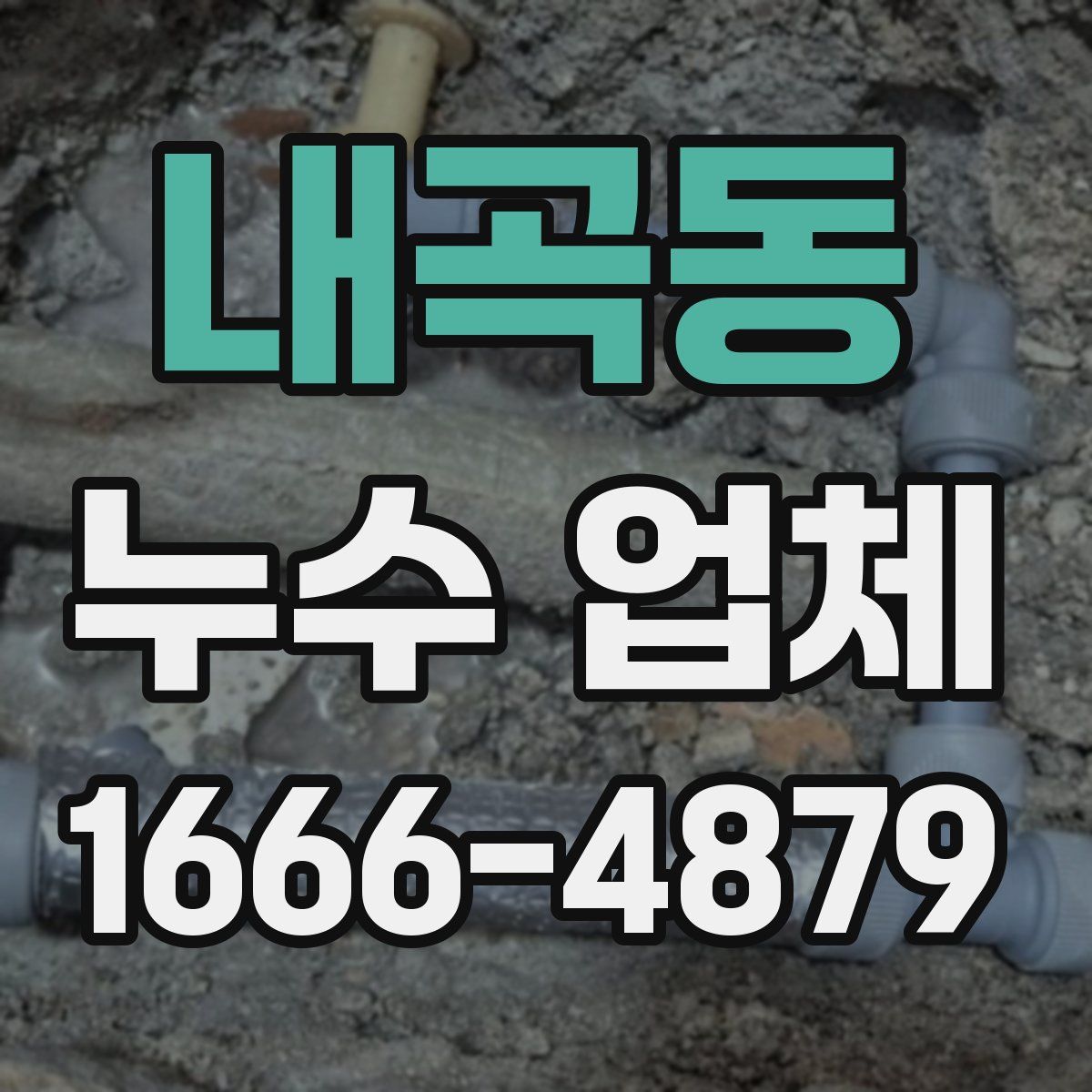 내곡동 누수 업체