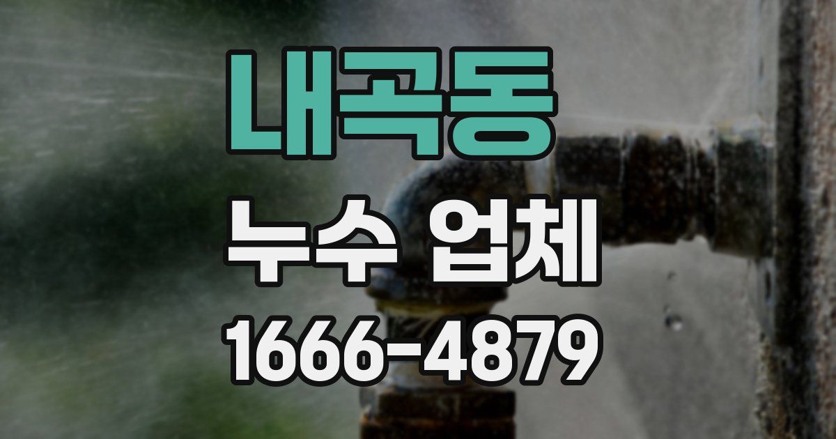 내곡동 누수 업체