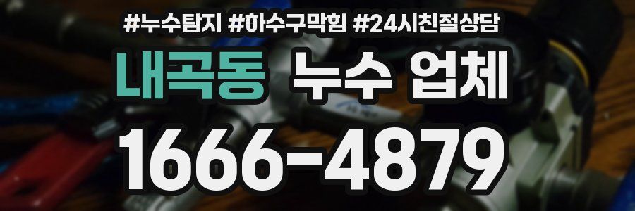 내곡동 누수 업체