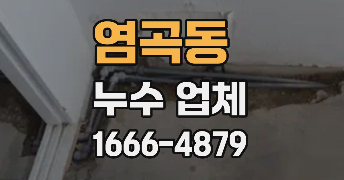 염곡동 누수 업체