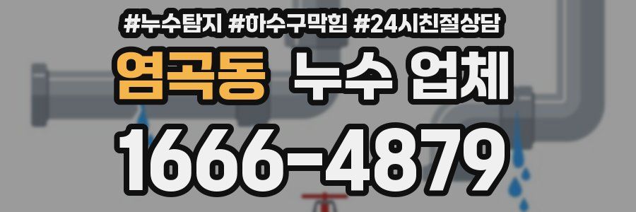 염곡동 누수 업체