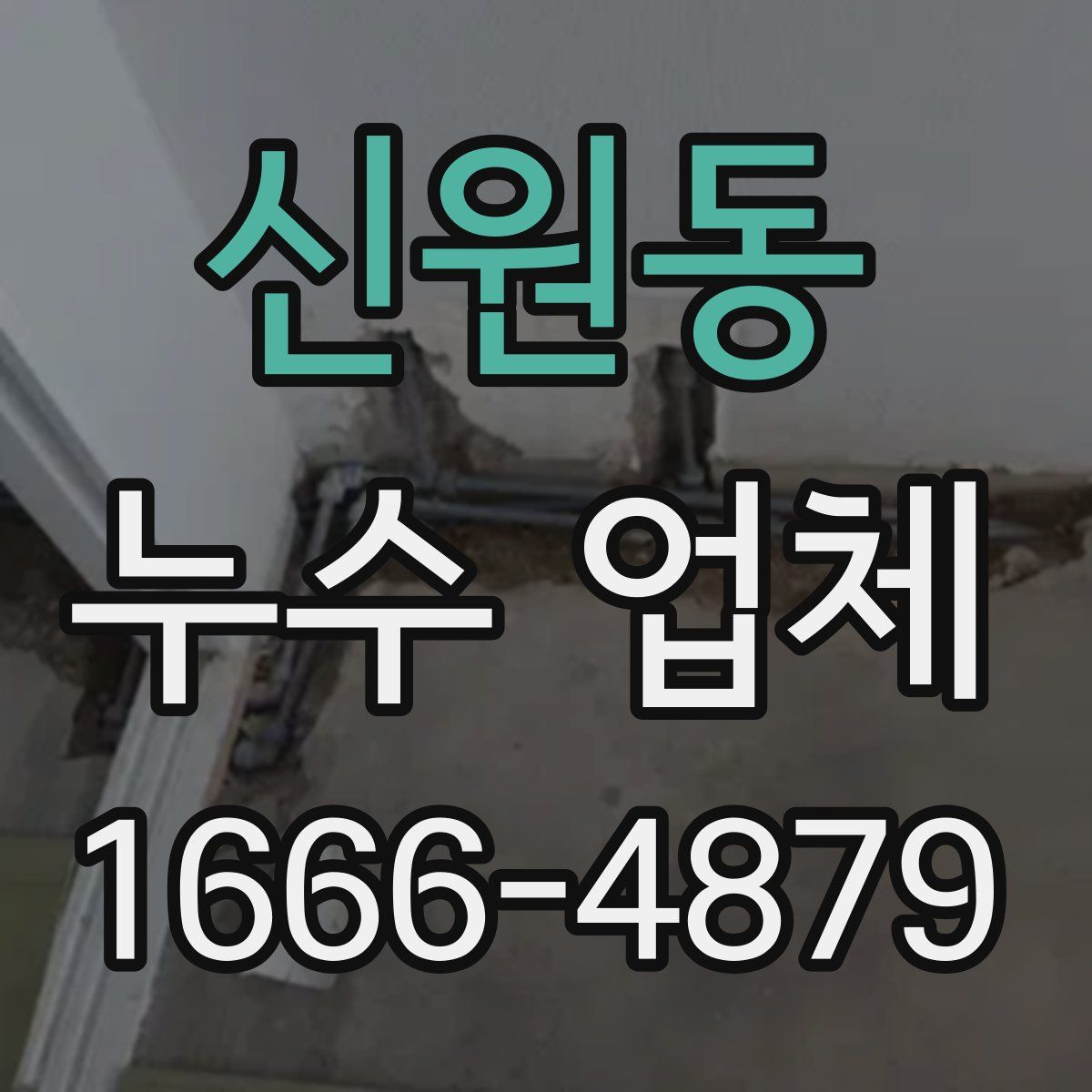 신원동 누수 업체