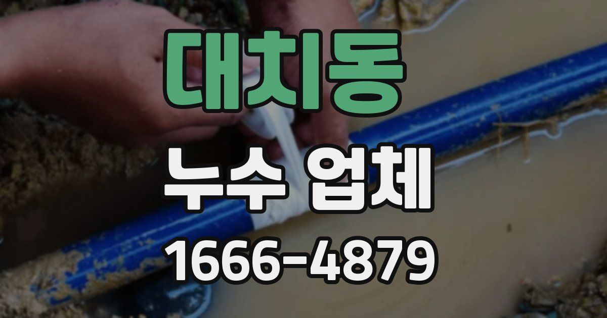 대치동 누수 업체