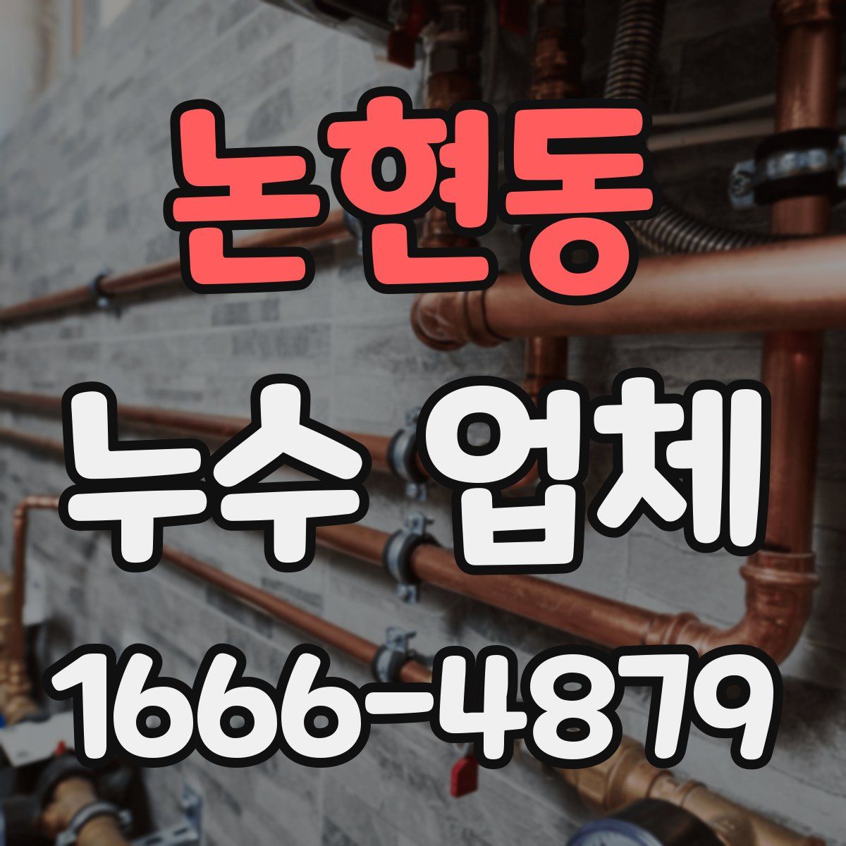 논현동 누수 업체