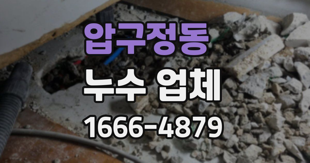 압구정동 누수 업체