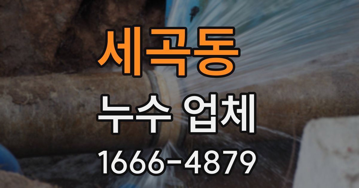 세곡동 누수 업체