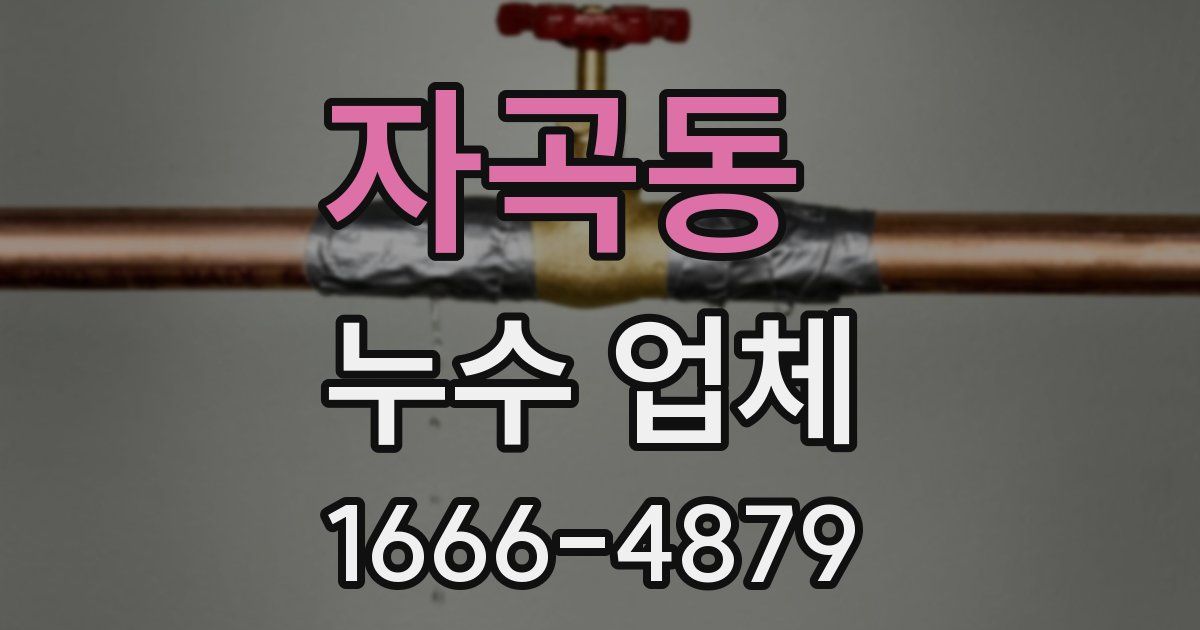 자곡동 누수 업체
