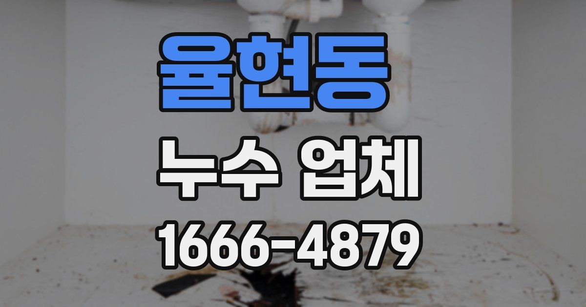 율현동 누수 업체