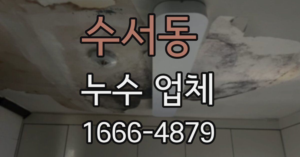 수서동 누수 업체