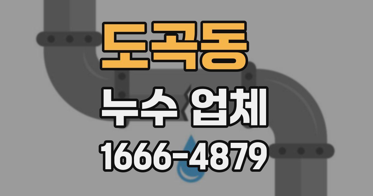 도곡동 누수 업체