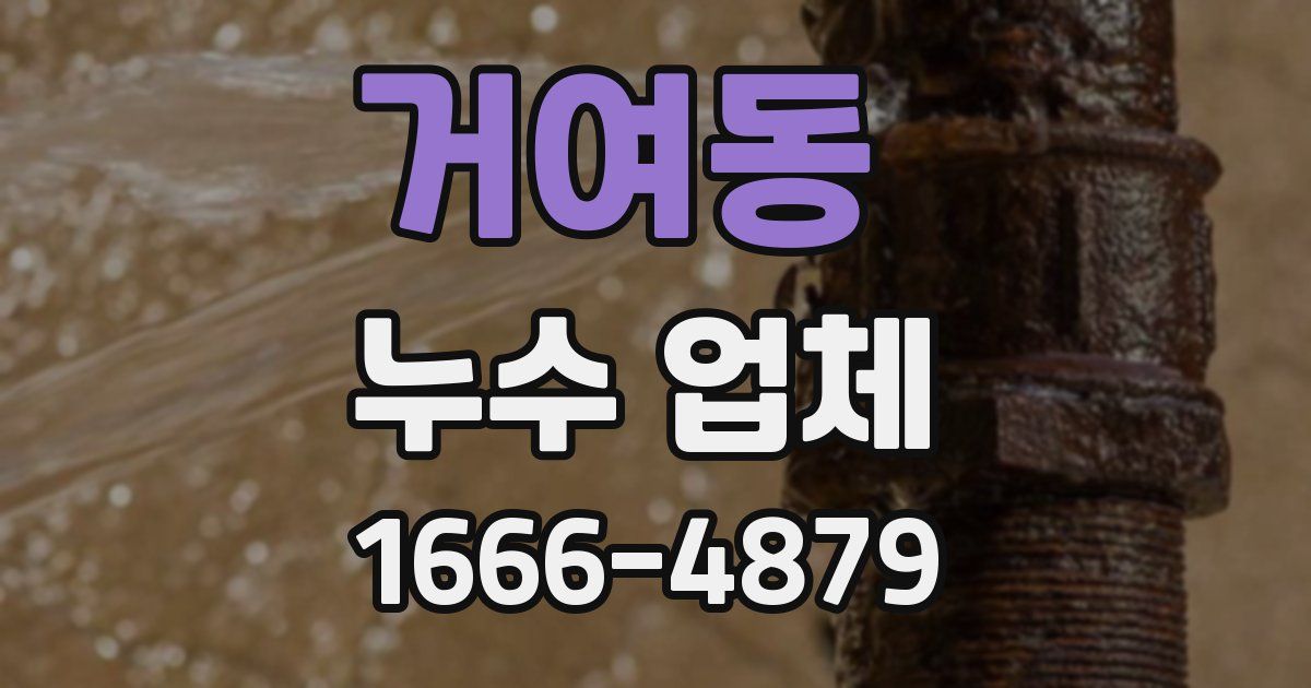 거여동 누수 업체