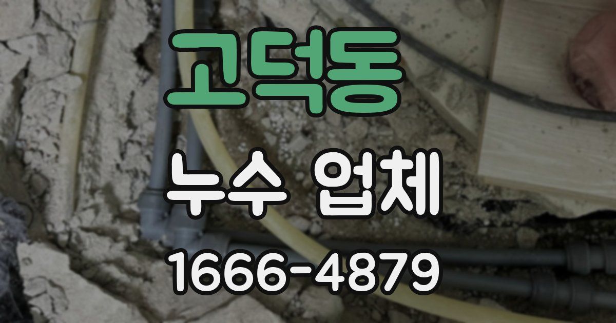 고덕동 누수 업체