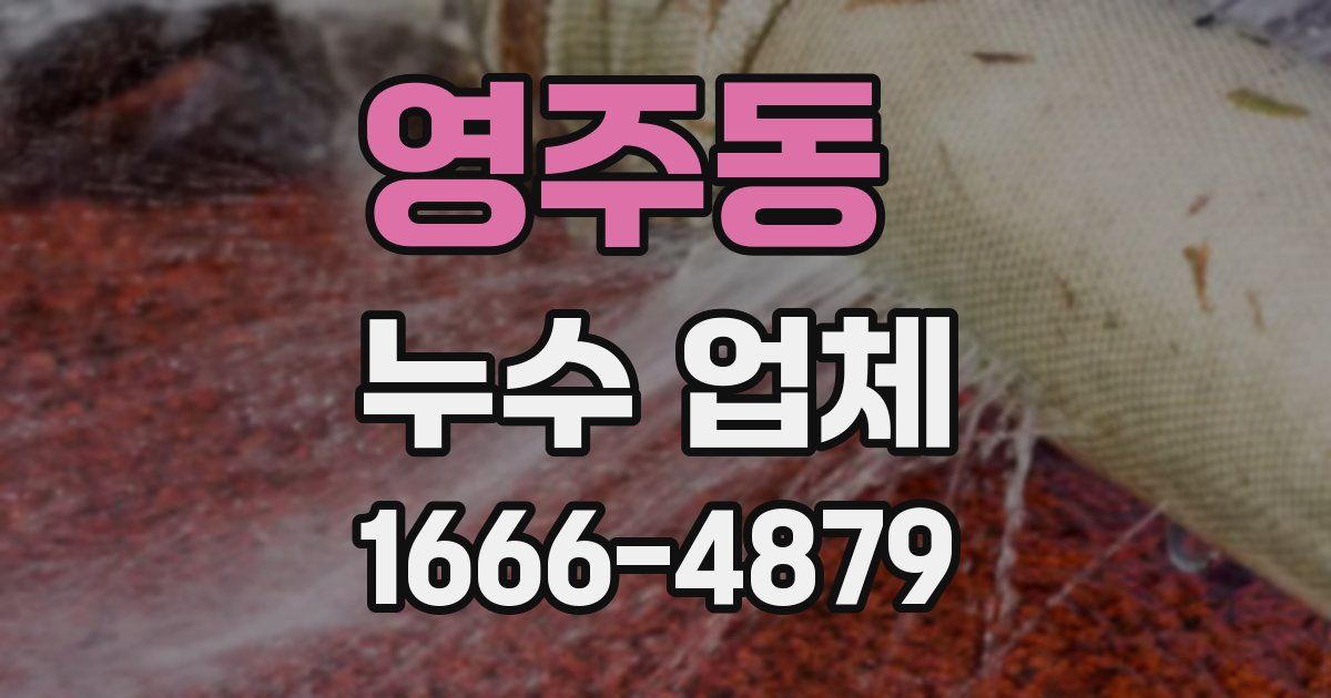 영주동 누수 업체