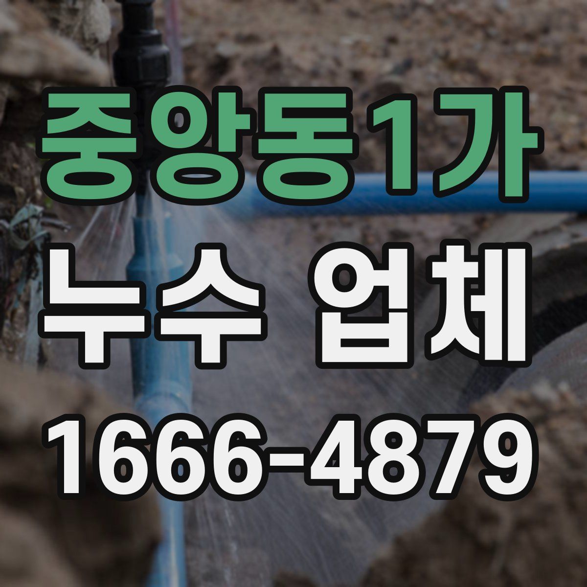 중앙동1가 누수 업체