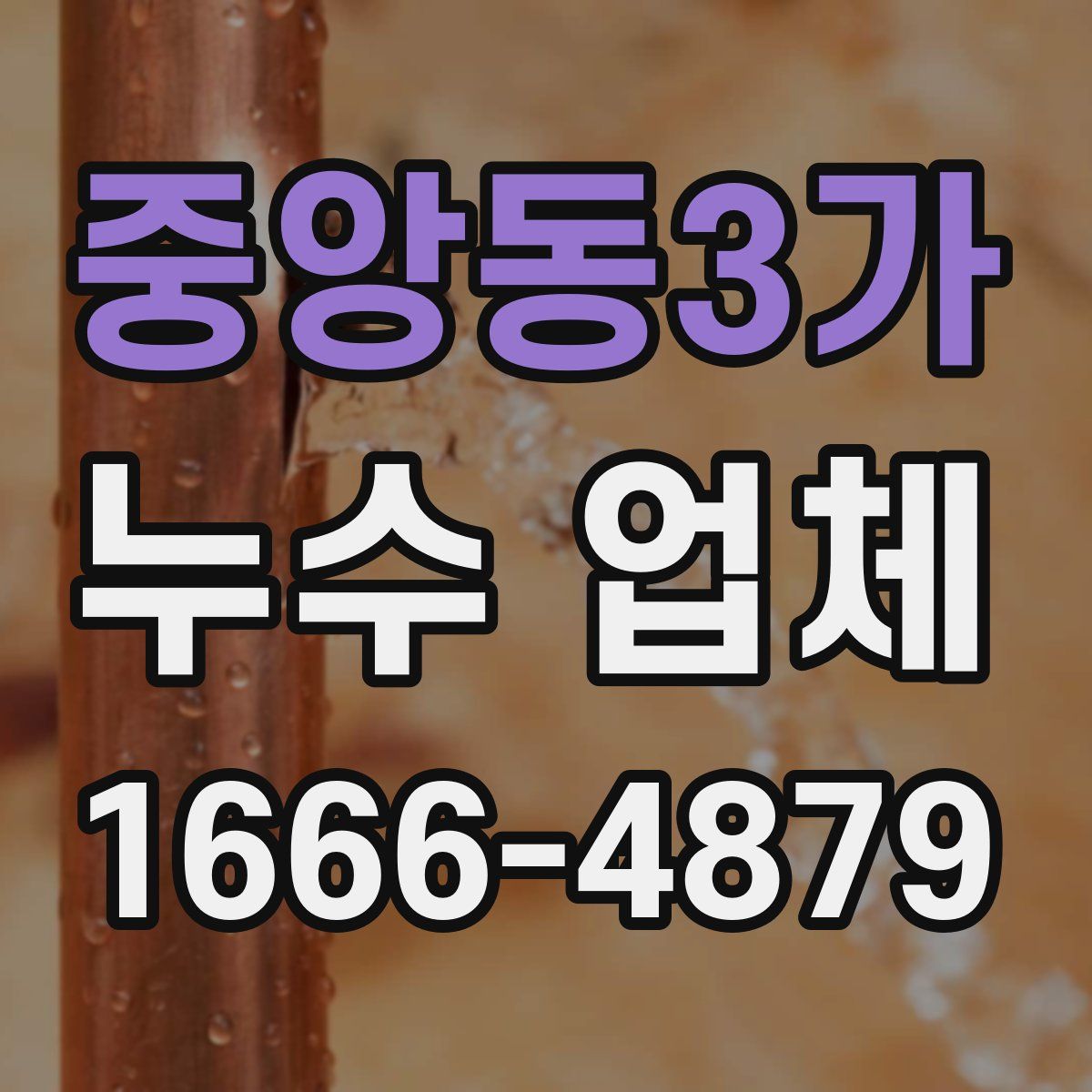 중앙동3가 누수 업체