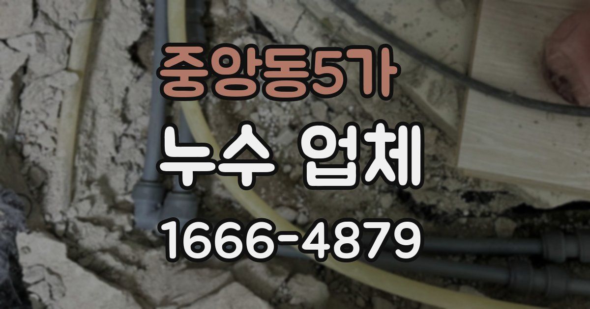 중앙동5가 누수 업체