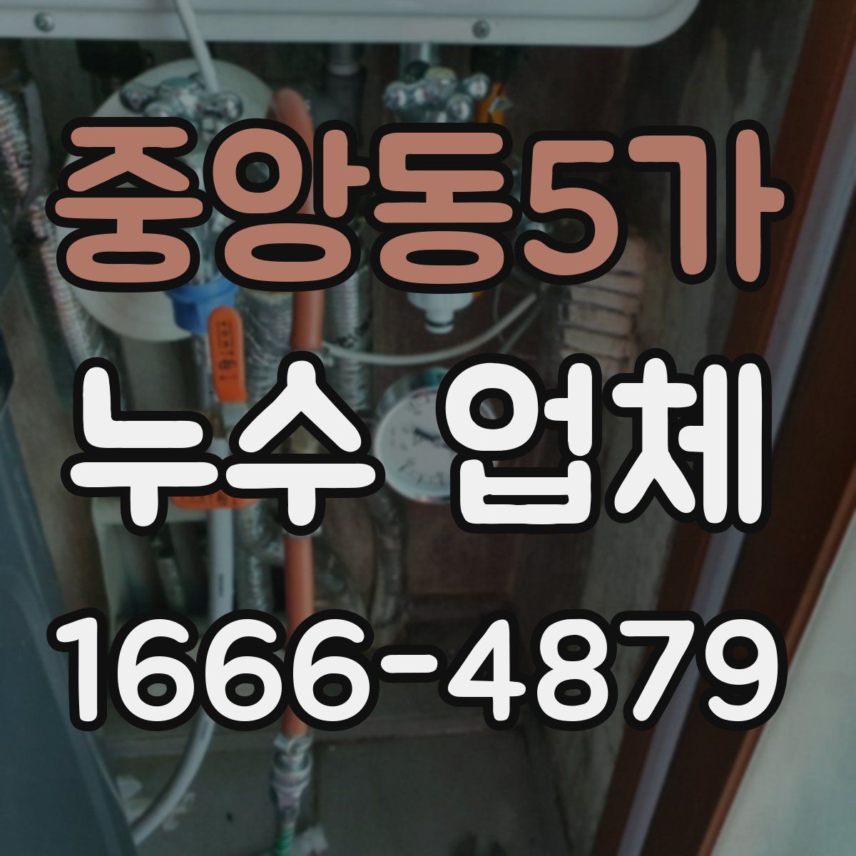 중앙동5가 누수 업체