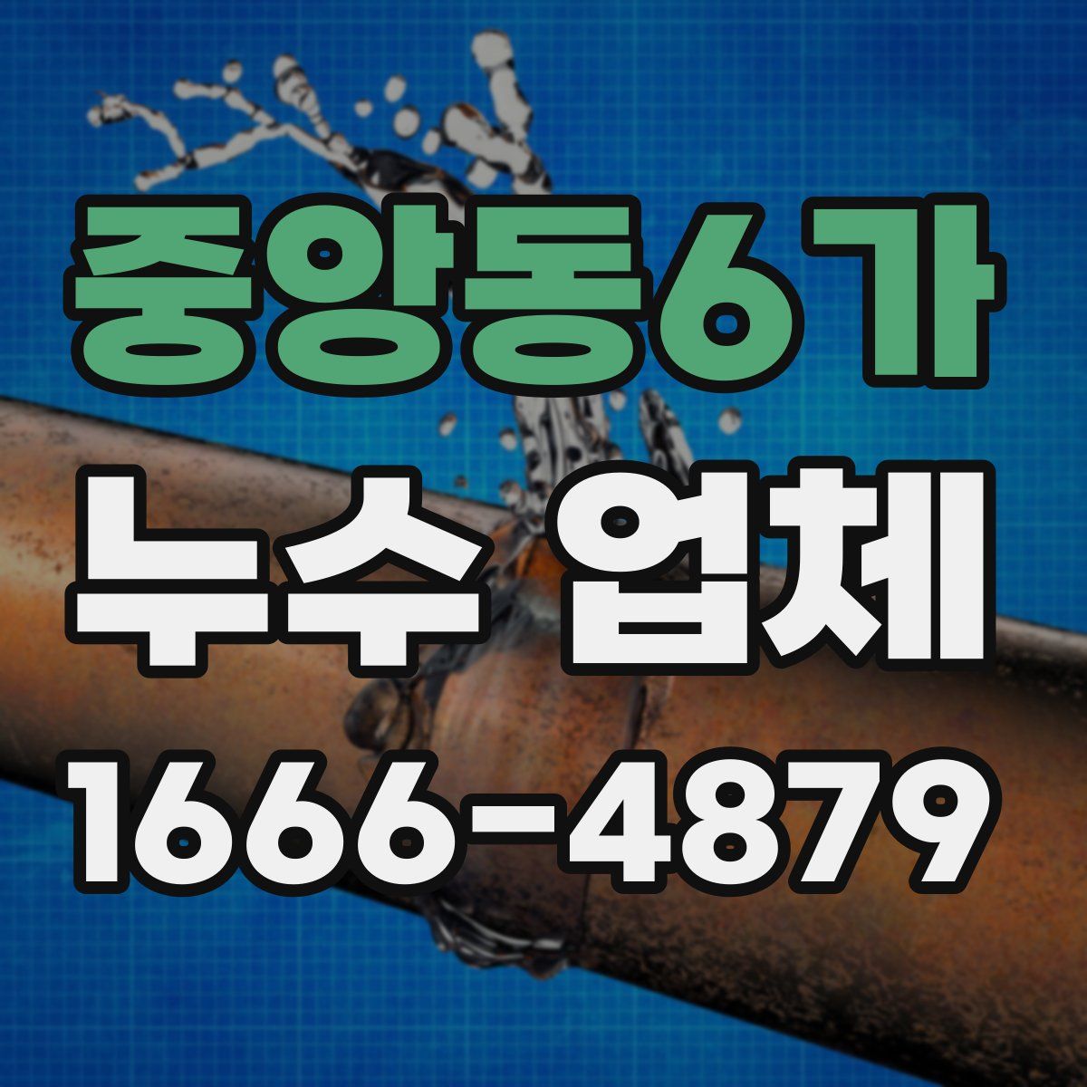 중앙동6가 누수 업체