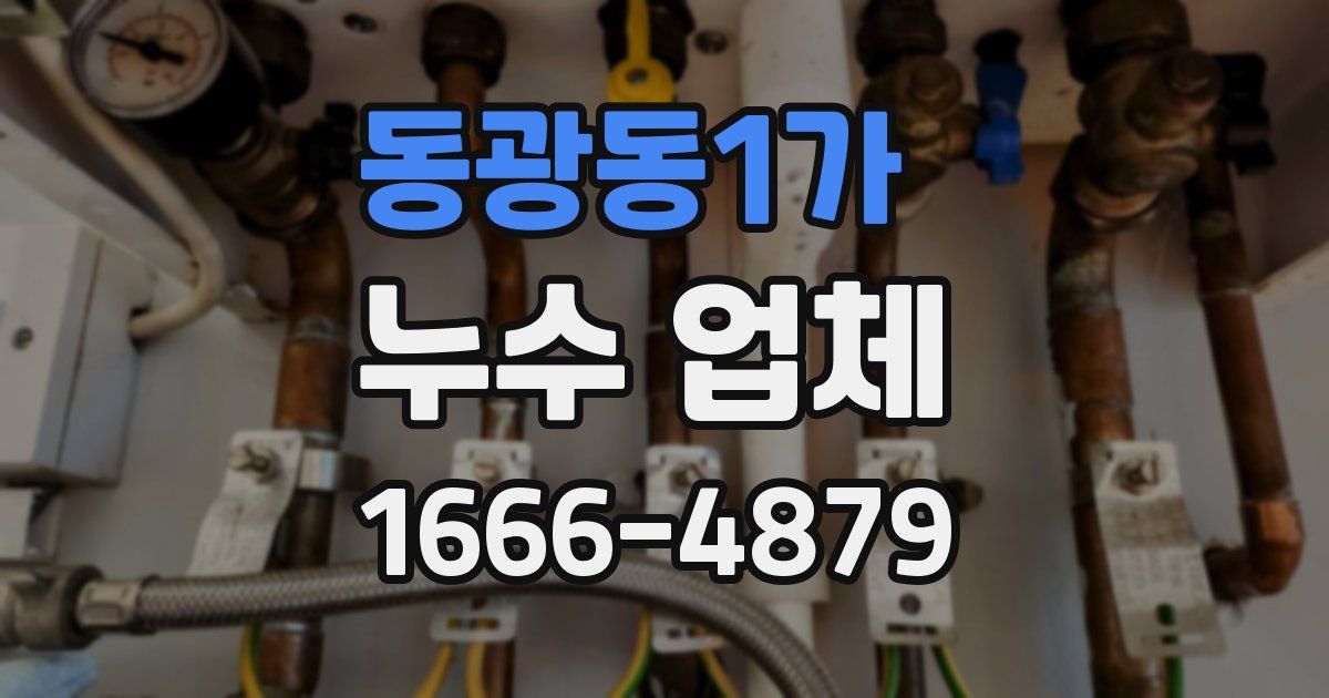 동광동1가 누수 업체