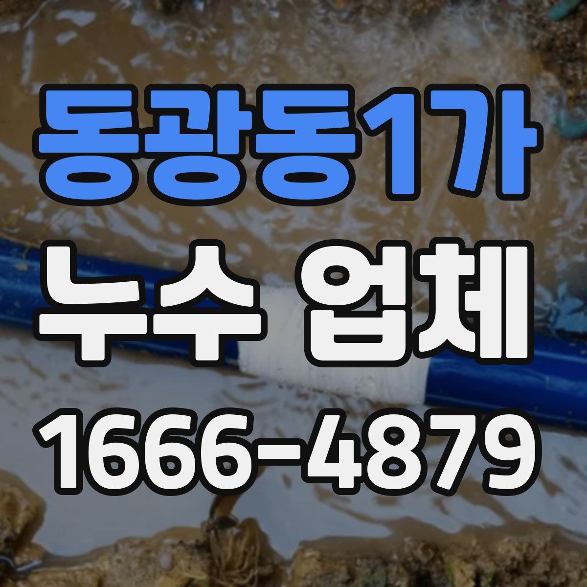 동광동1가 누수 업체