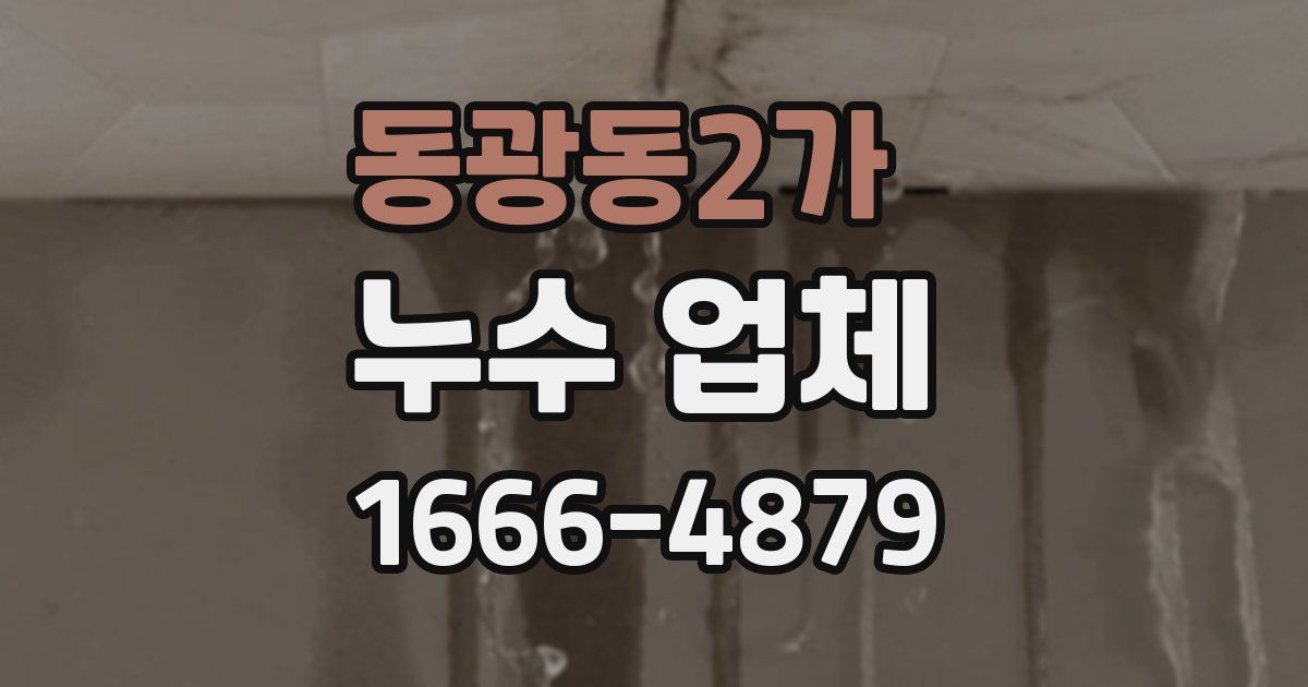 동광동2가 누수 업체