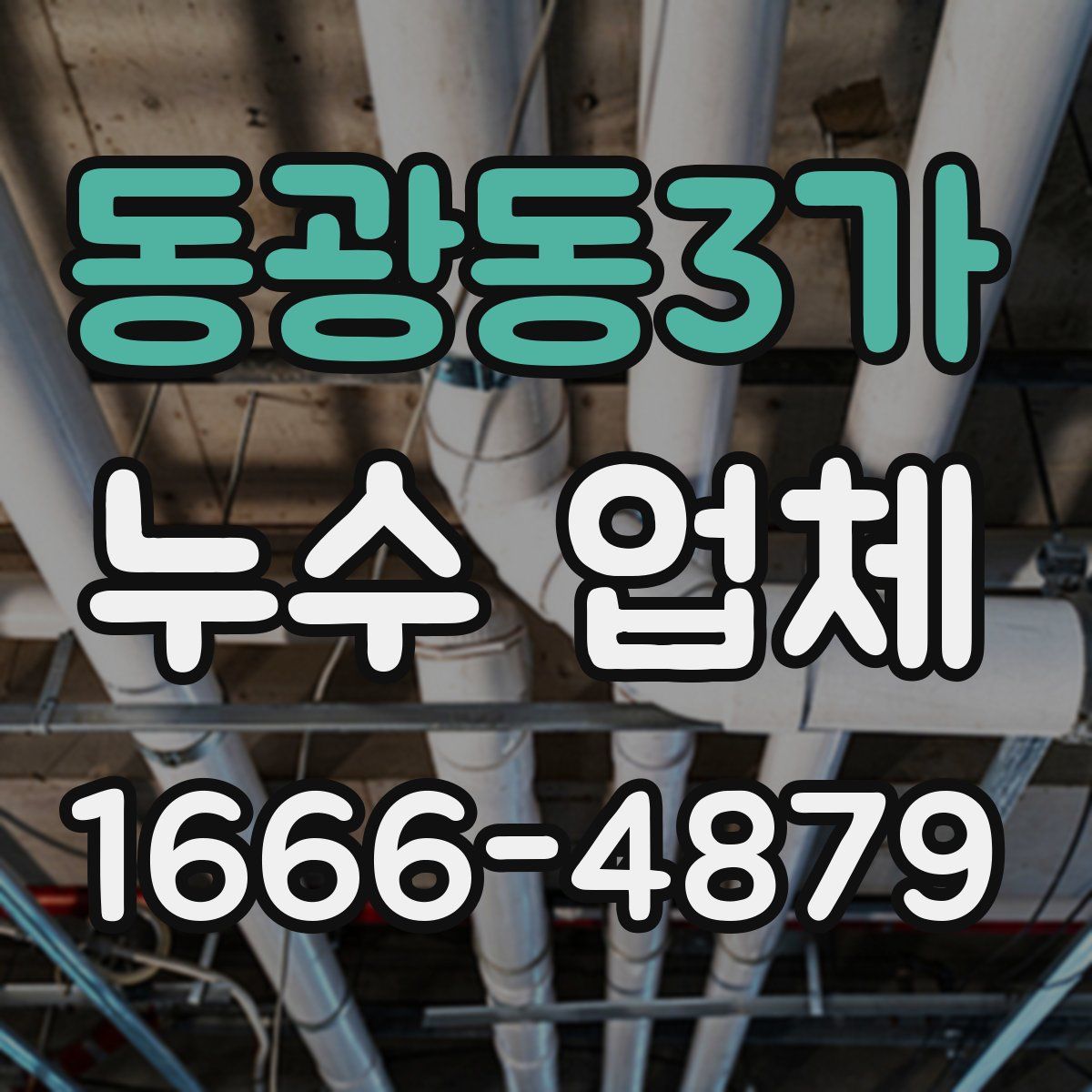 동광동3가 누수 업체