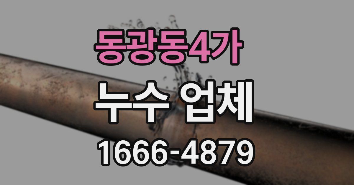 동광동4가 누수 업체