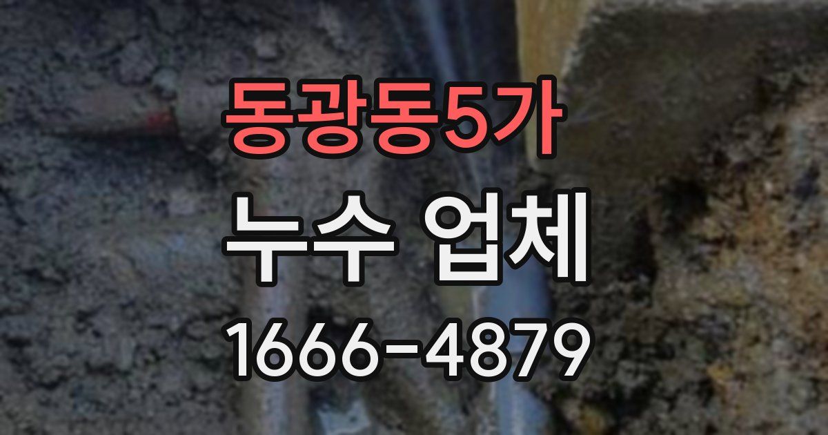동광동5가 누수 업체