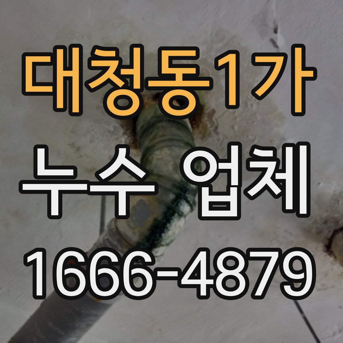 대청동1가 누수 업체