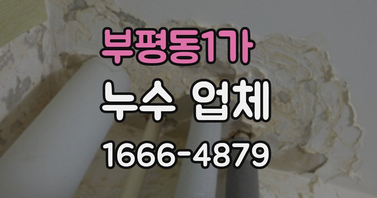 부평동1가 누수 업체