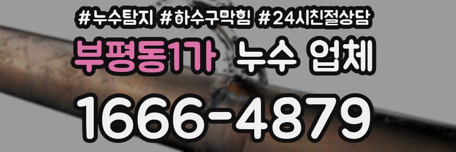 부평동1가 누수 업체