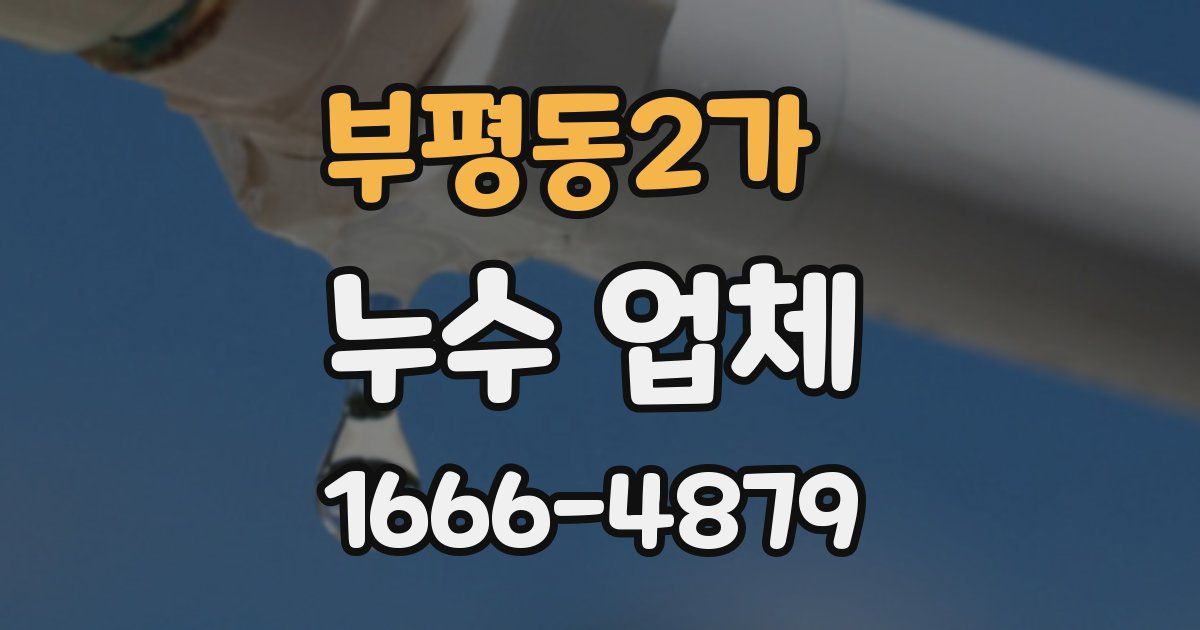 부평동2가 누수 업체