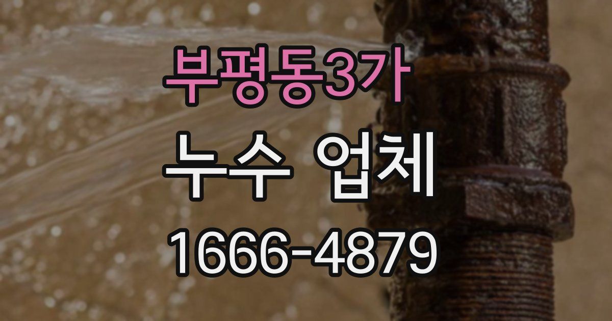 부평동3가 누수 업체