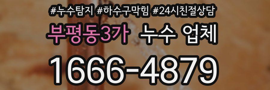 부평동3가 누수 업체