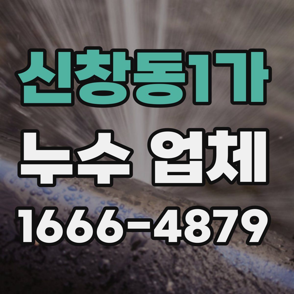 신창동1가 누수 업체