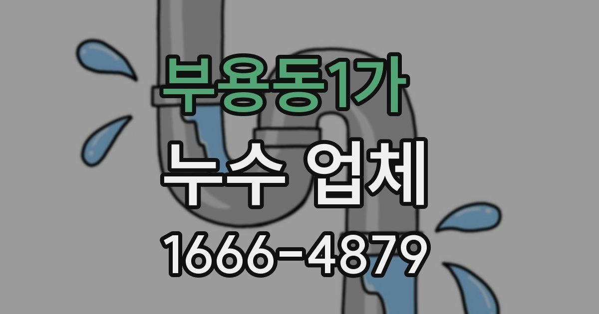 부용동1가 누수 업체