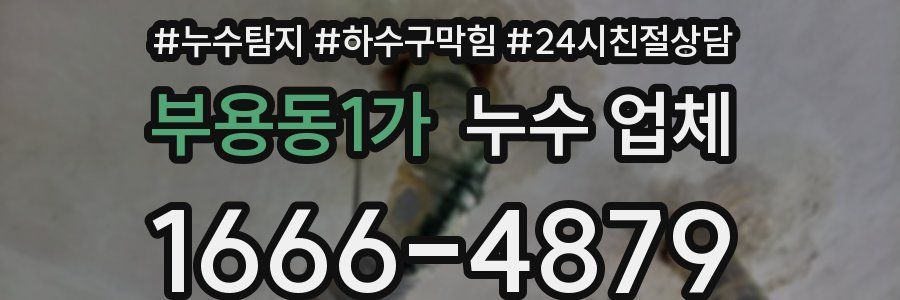 부용동1가 누수 업체