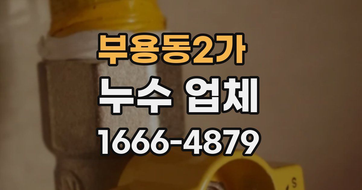 부용동2가 누수 업체