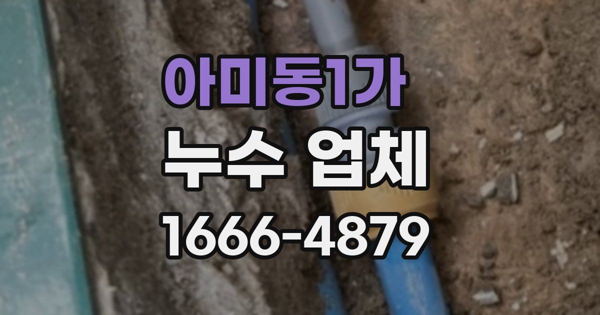 아미동1가 누수 업체