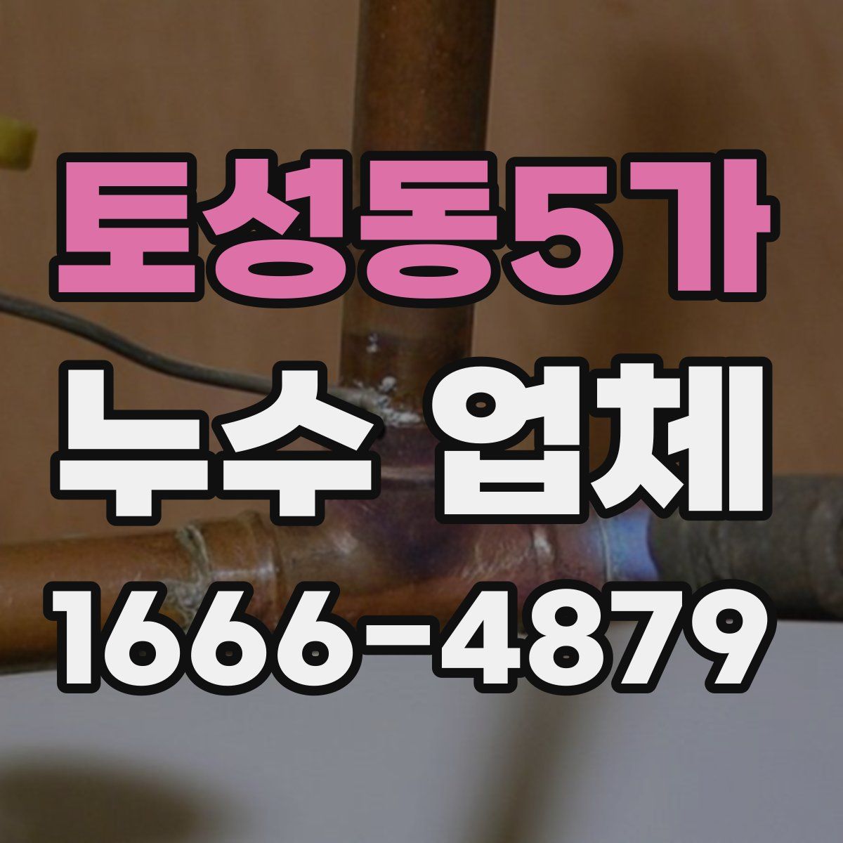토성동5가 누수 업체