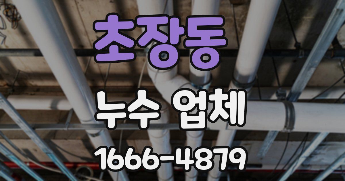 초장동 누수 업체